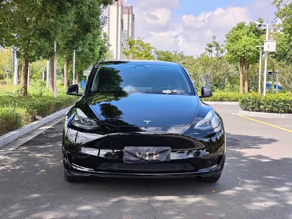 Tesla Model Y — фото 2