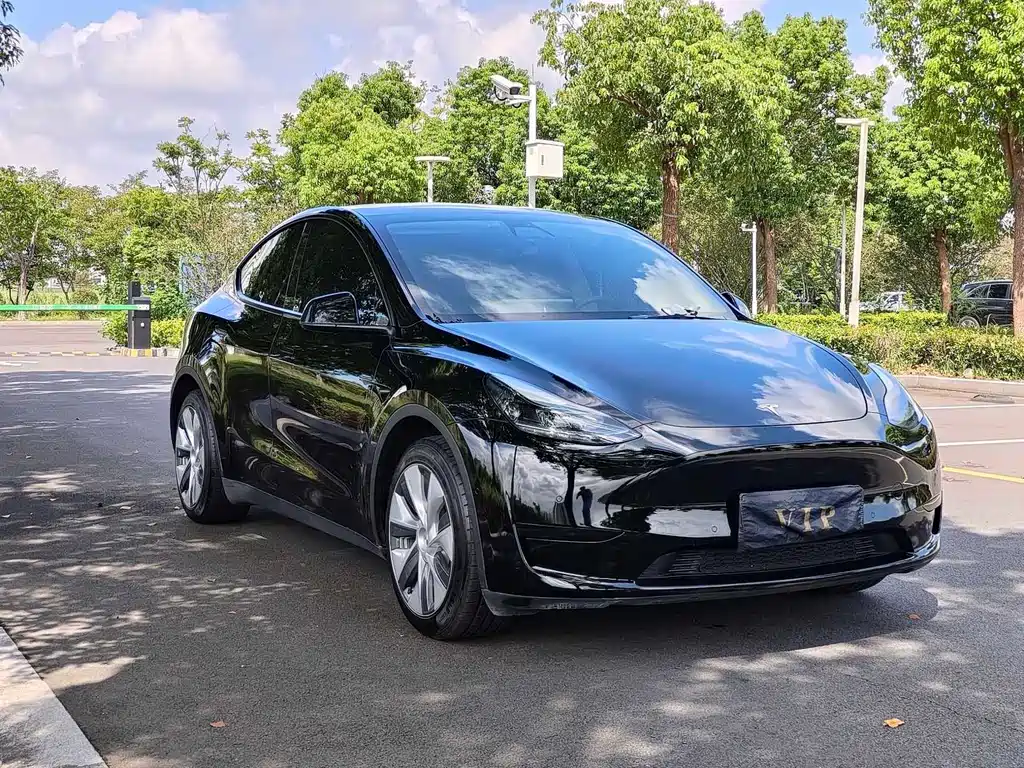 Tesla Model Y — фото 3