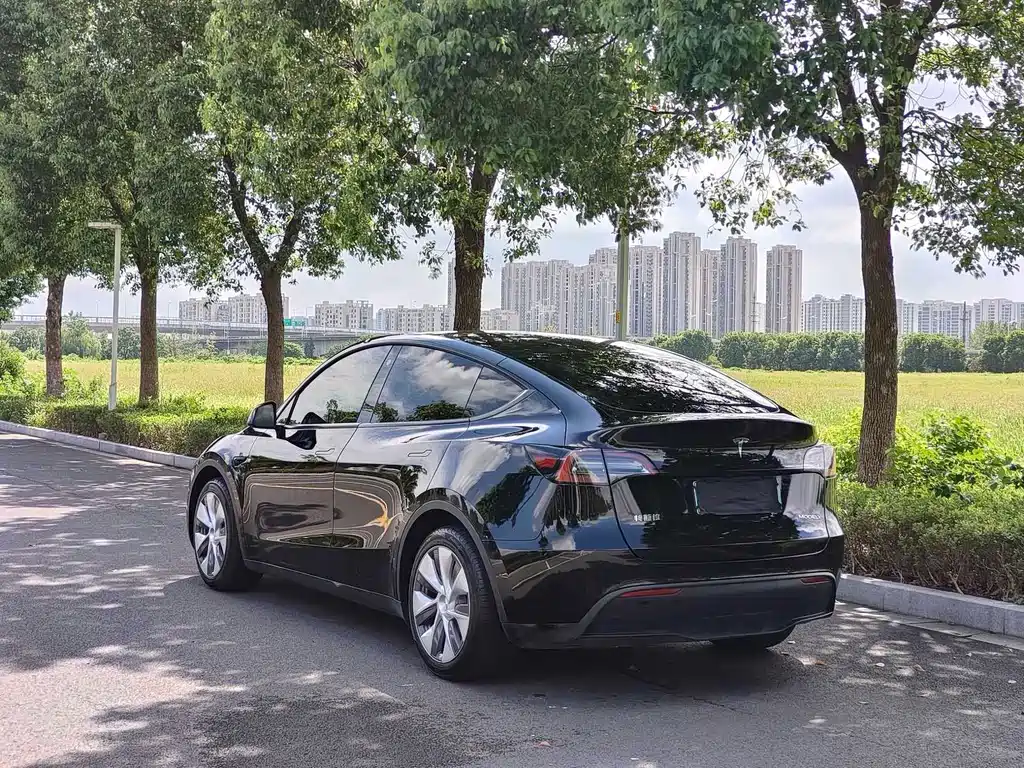 Tesla Model Y — фото 5