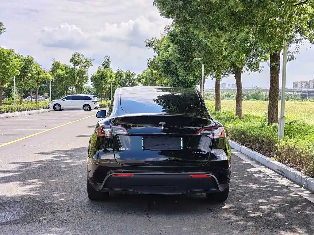 Tesla Model Y — фото 6
