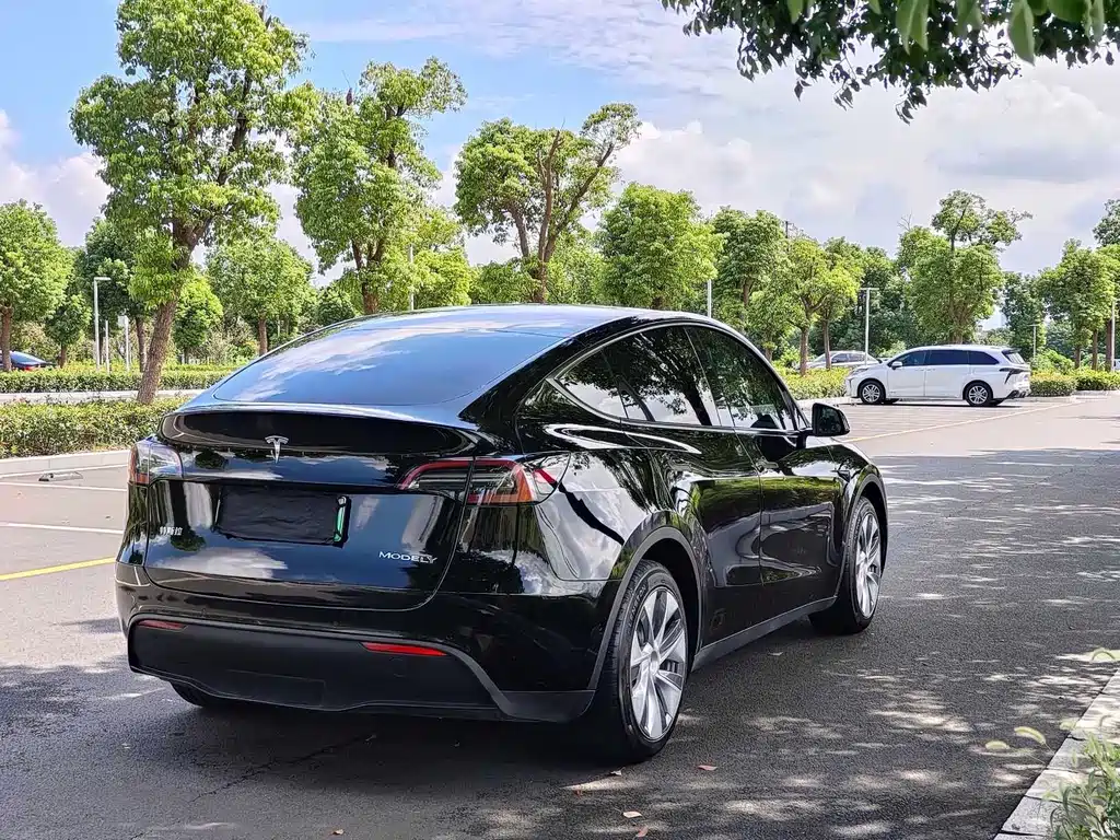 Tesla Model Y — фото 8