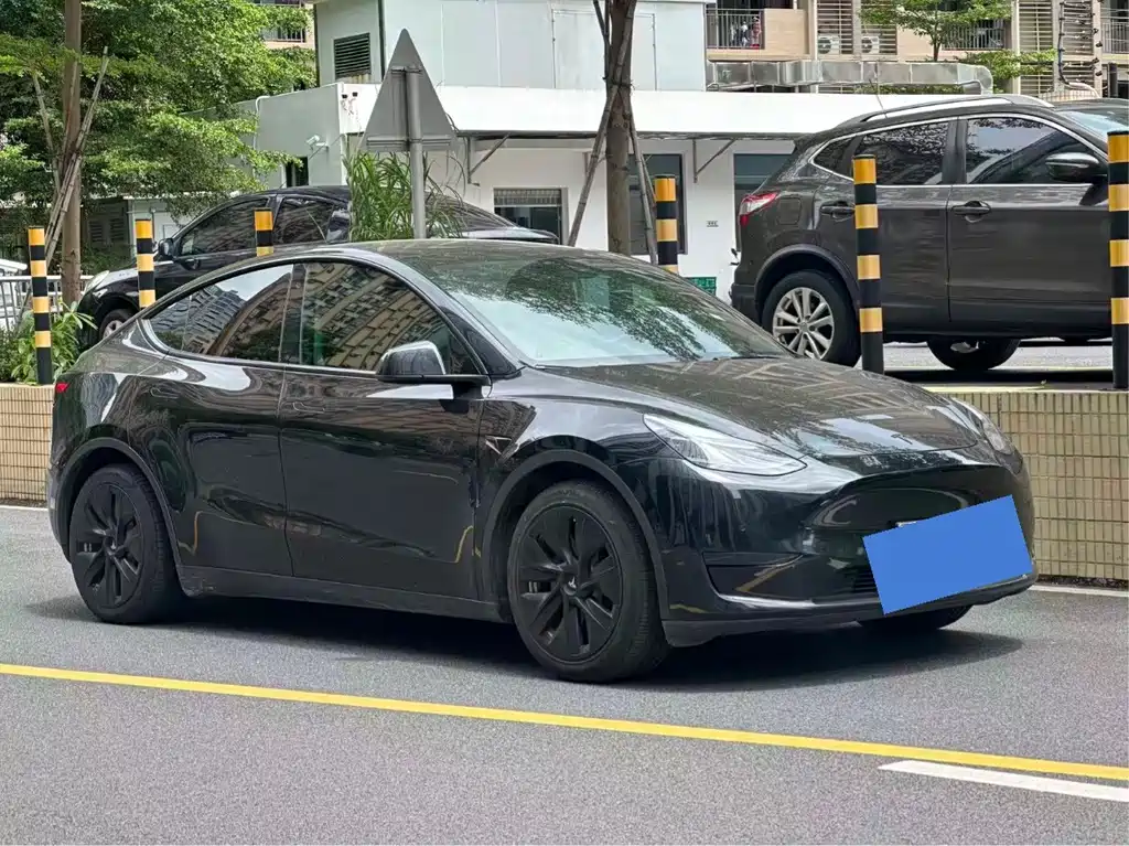 Tesla Model Y — фото 2