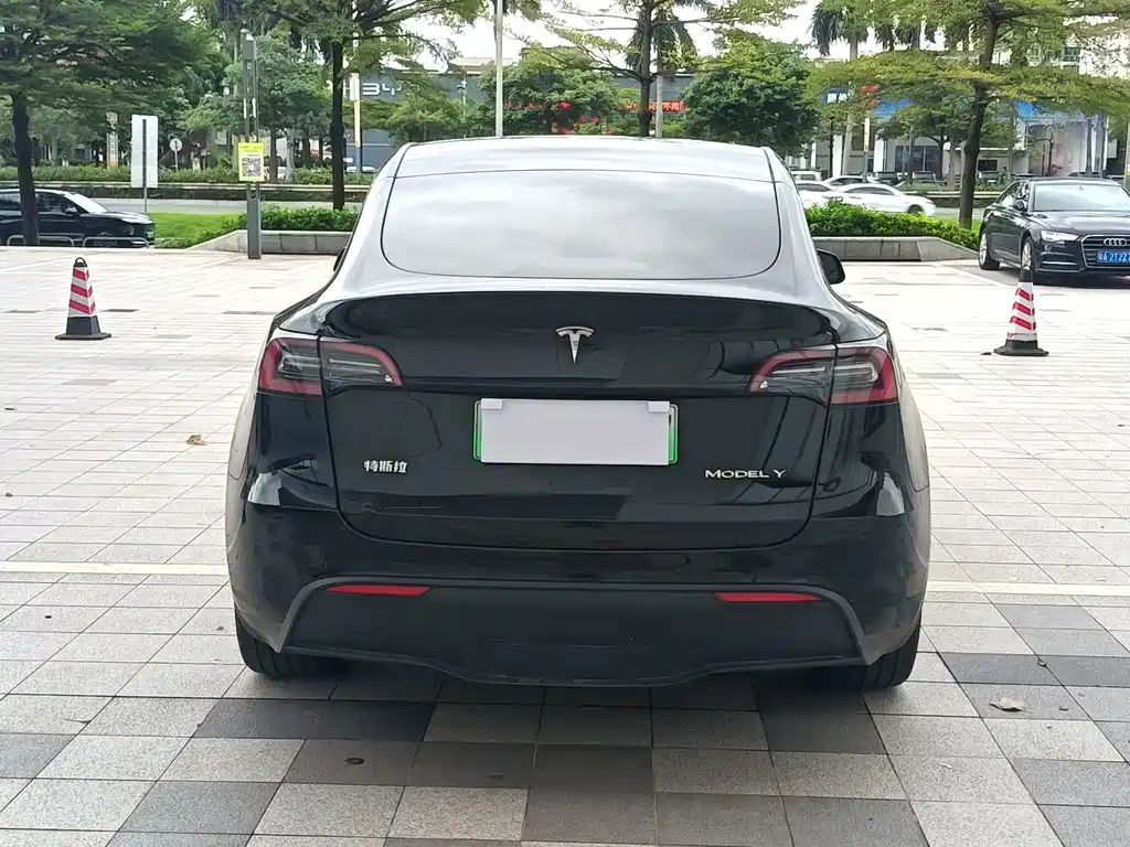 Tesla Model Y — фото 3