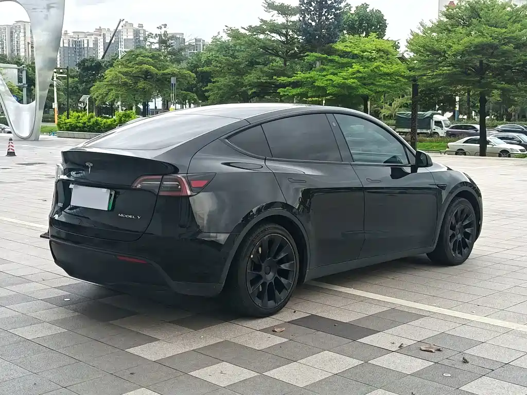 Tesla Model Y — фото 4