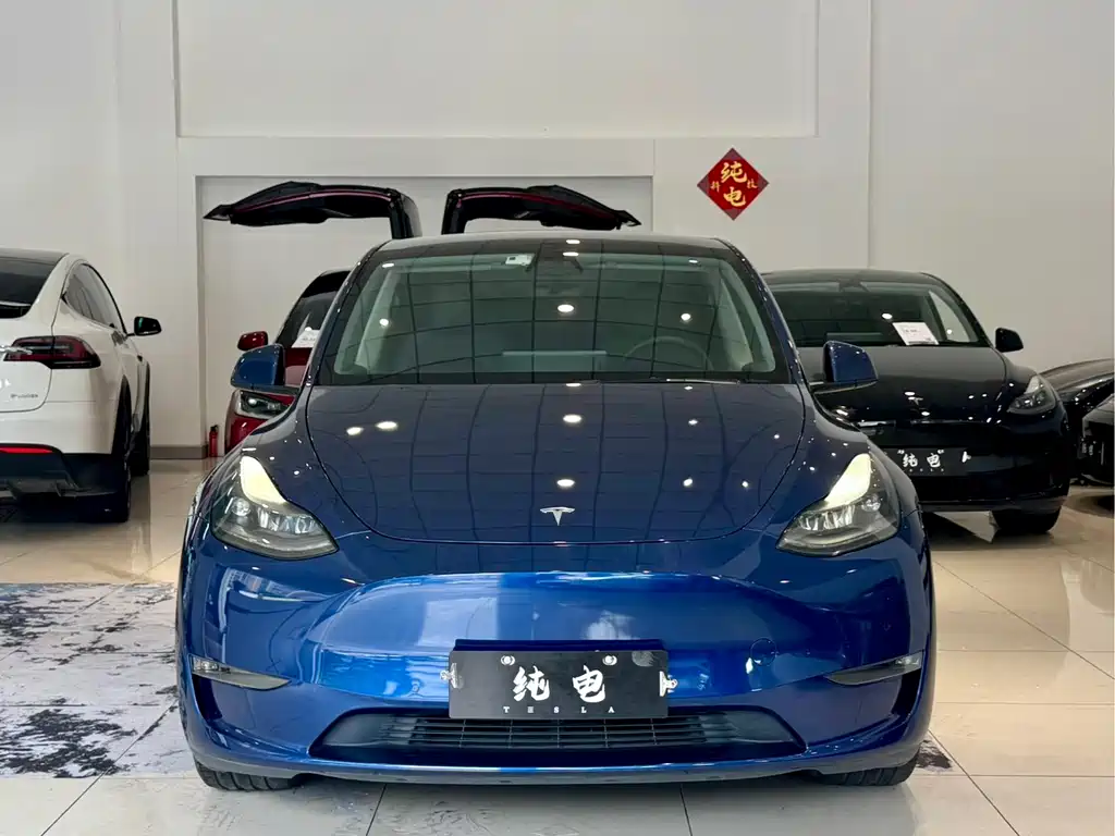Tesla Model Y — фото 2