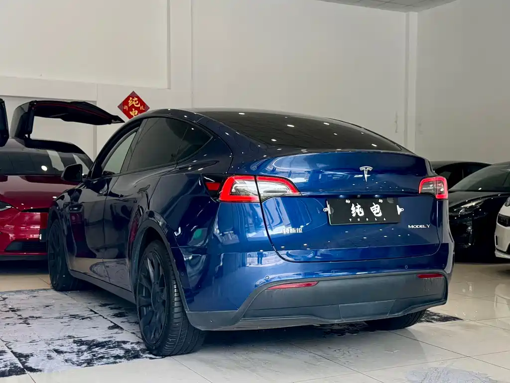 Tesla Model Y — фото 13
