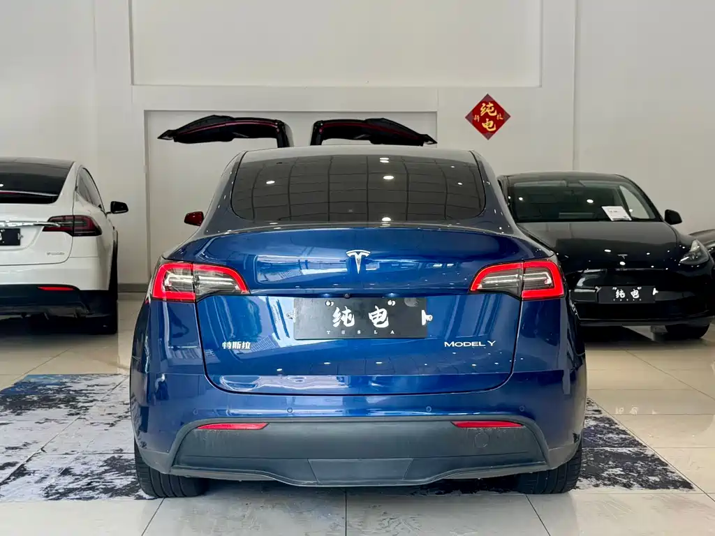 Tesla Model Y — фото 14