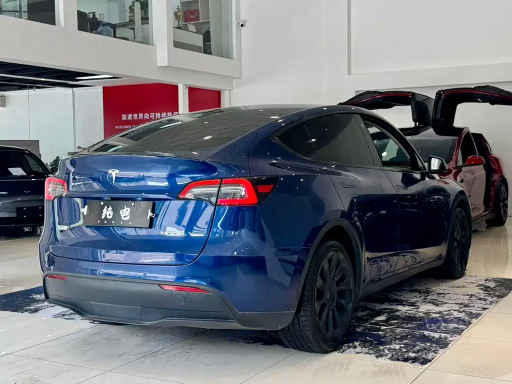 Tesla Model Y — фото 15