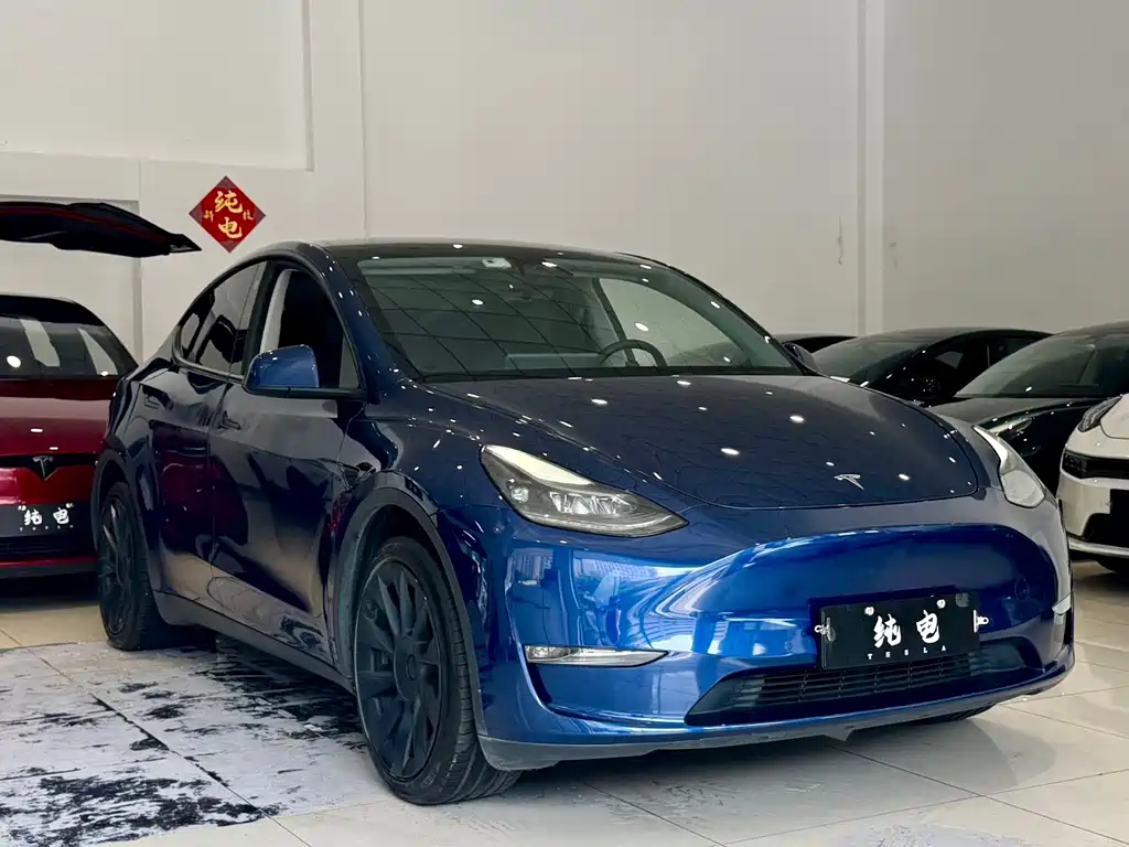 Tesla Model Y — фото 3