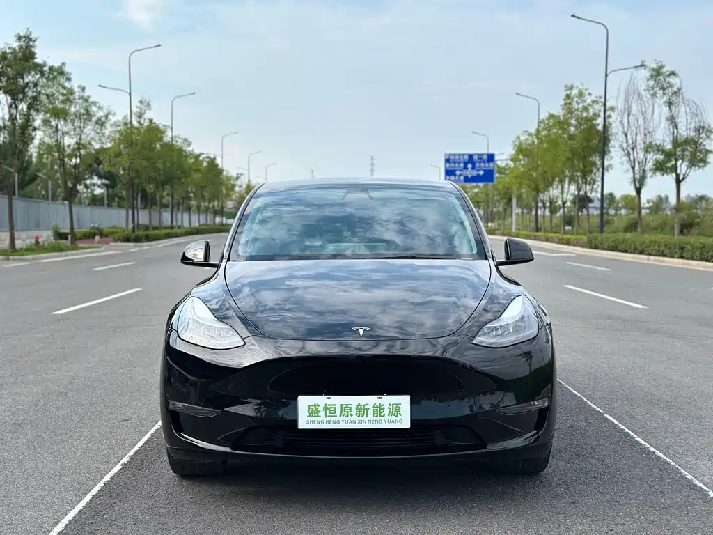 Tesla Model Y — фото 2
