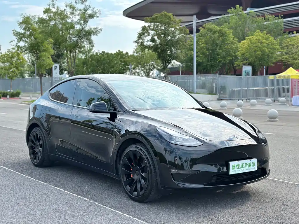Tesla Model Y — фото 17