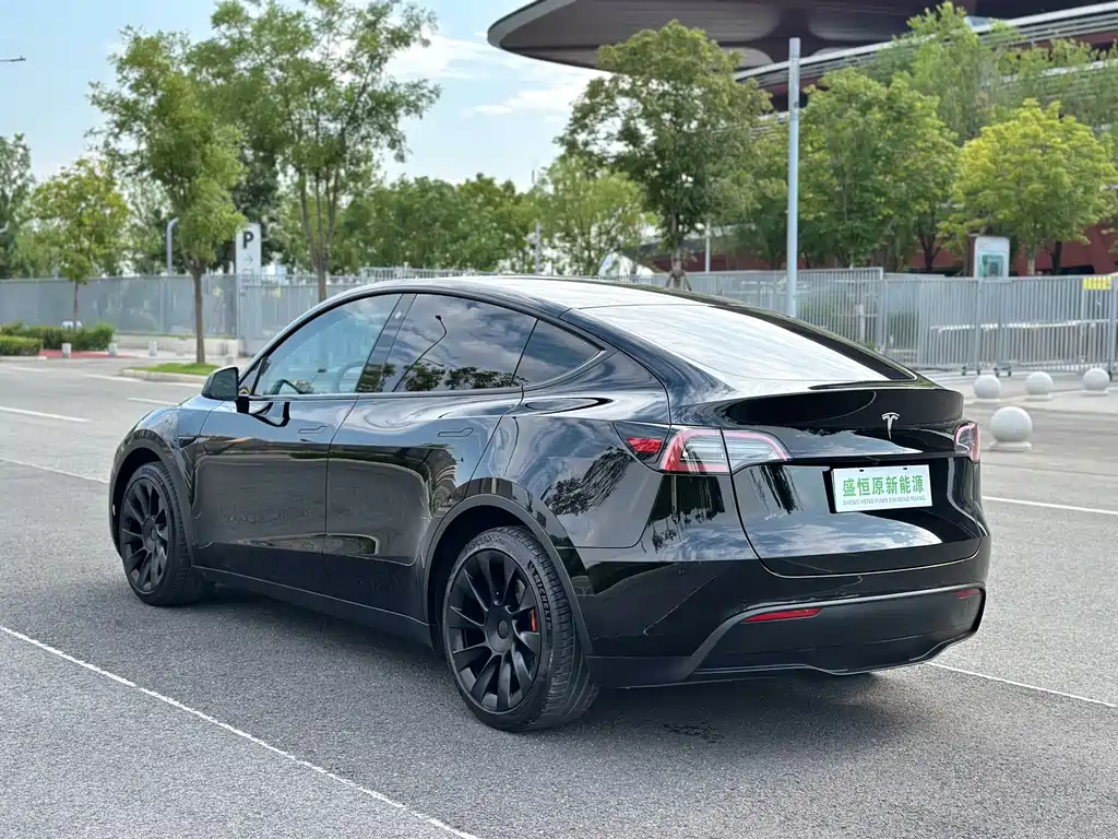 Tesla Model Y — фото 6