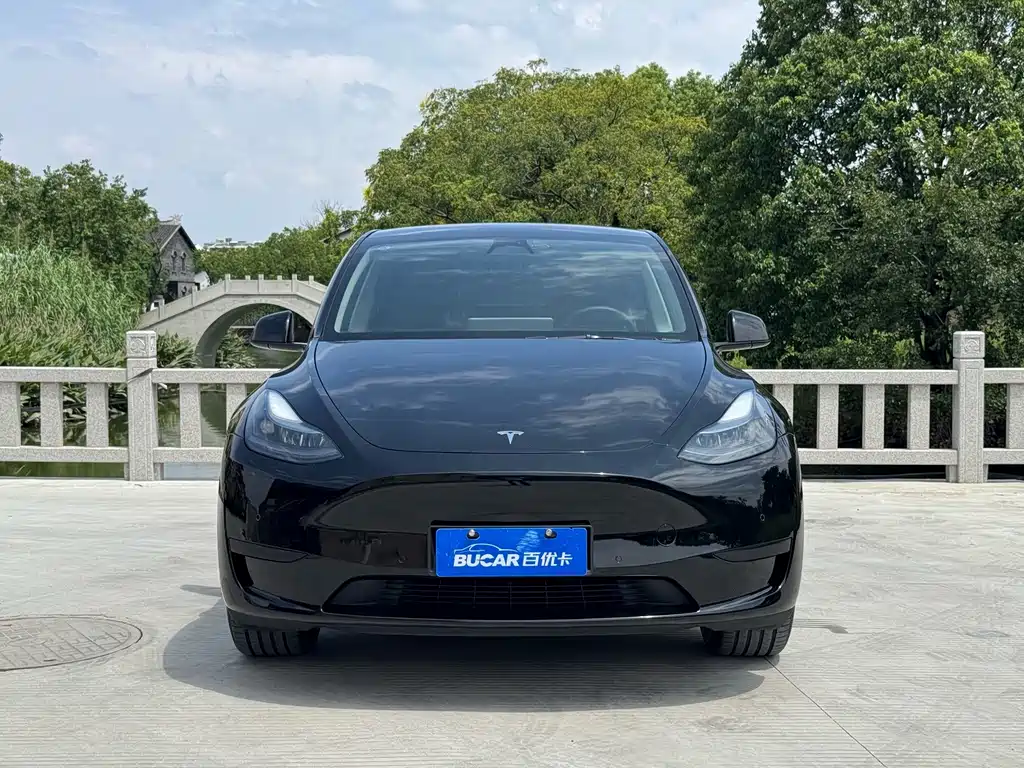 Tesla Model Y — фото 2