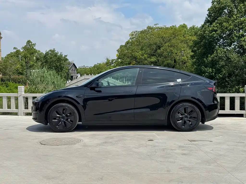 Tesla Model Y — фото 11