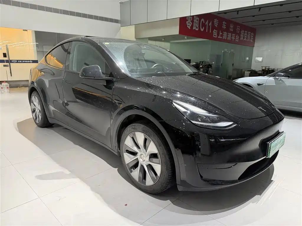 Tesla Model Y — фото 3