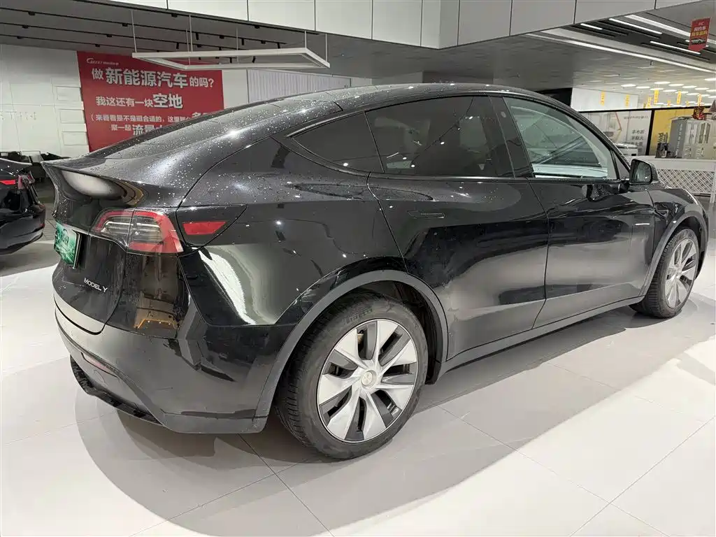Tesla Model Y — фото 5