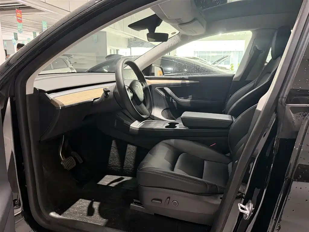 Tesla Model Y — фото 8