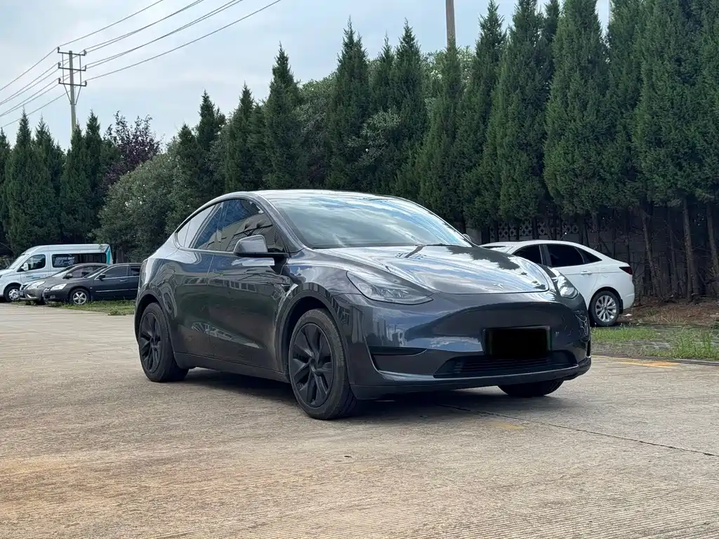 Tesla Model Y — фото 3