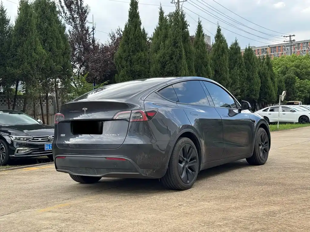 Tesla Model Y — фото 4