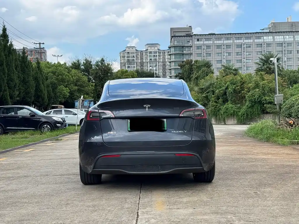Tesla Model Y — фото 5