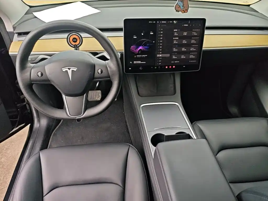 Tesla Model Y — фото 10