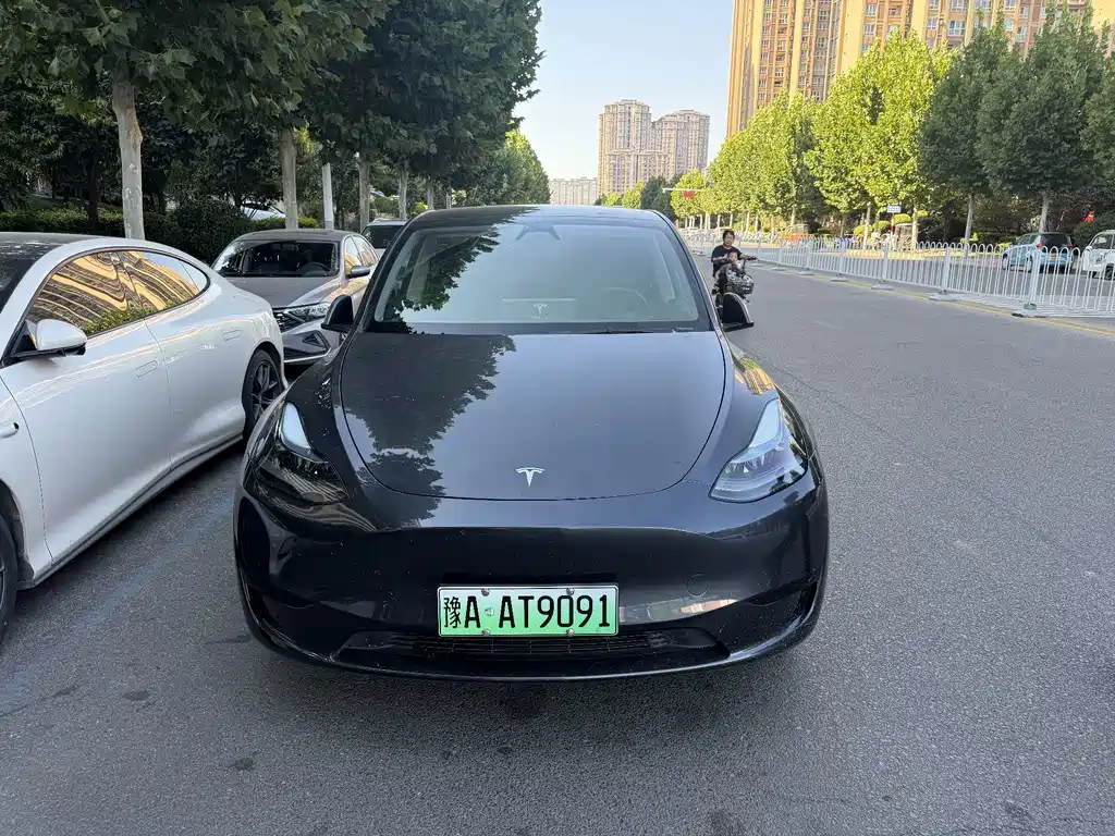 Tesla Model Y — фото 3
