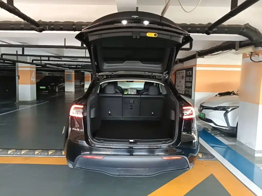 Tesla Model Y — фото 15