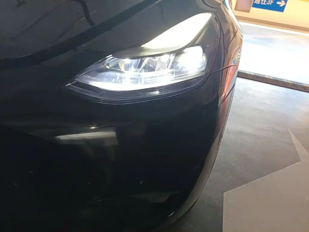 Tesla Model Y — фото 18