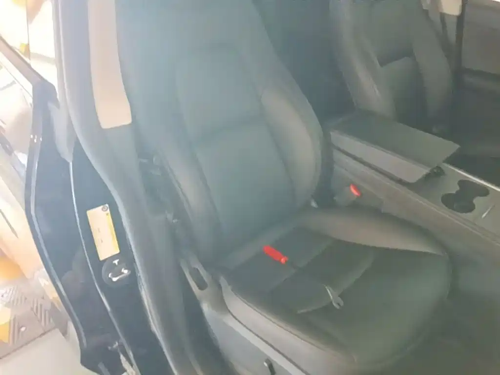 Tesla Model Y — фото 19