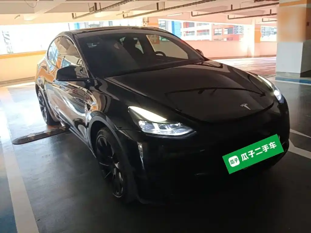 Tesla Model Y — фото 22