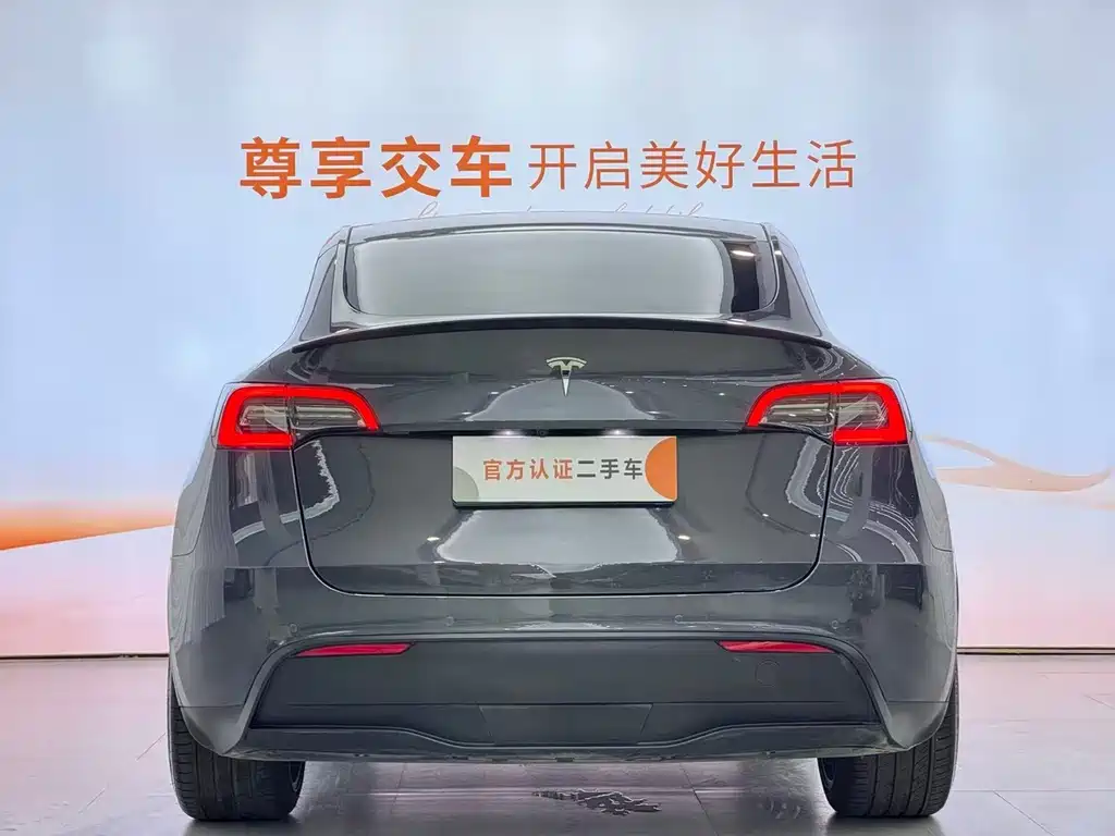 Tesla Model Y — фото 8