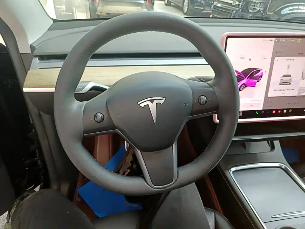 Tesla Model Y — фото 11