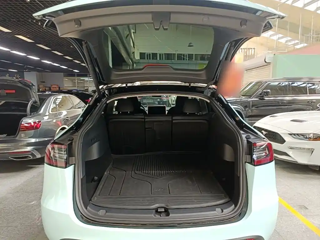 Tesla Model Y — фото 19