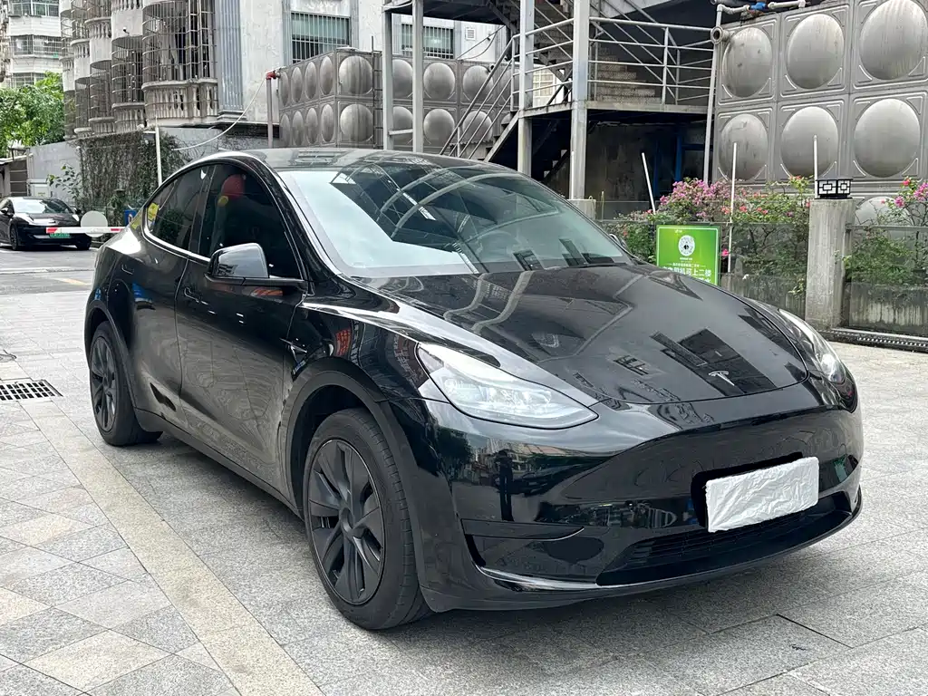 Tesla Model Y — фото 3