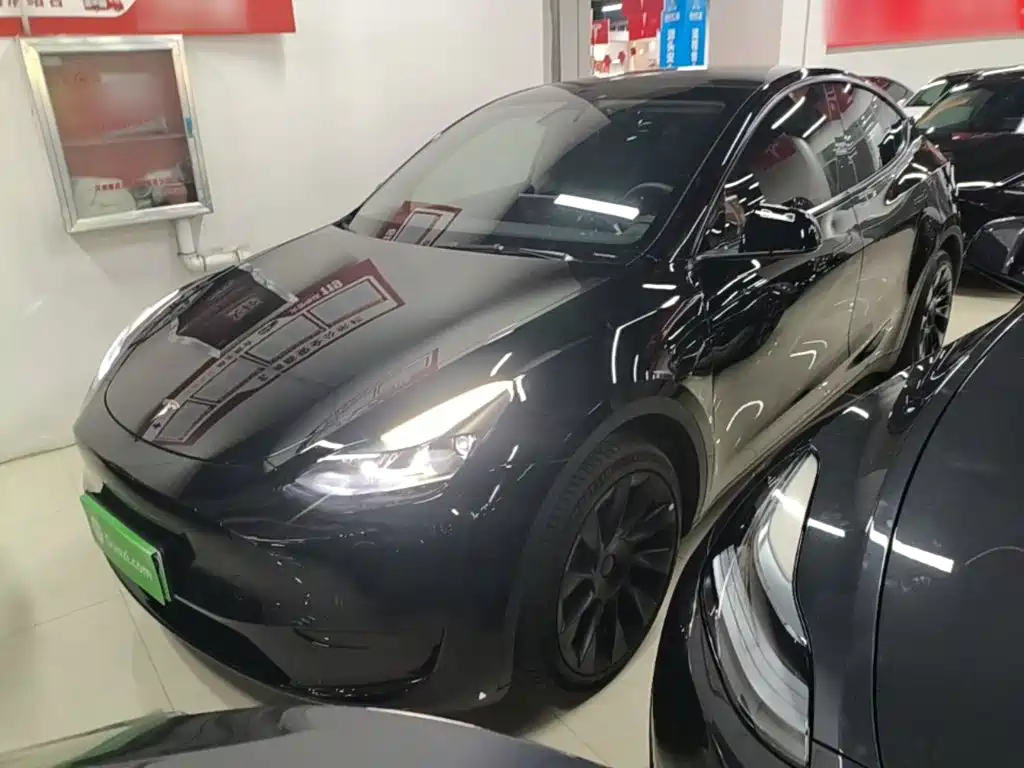 Tesla Model Y — фото 2
