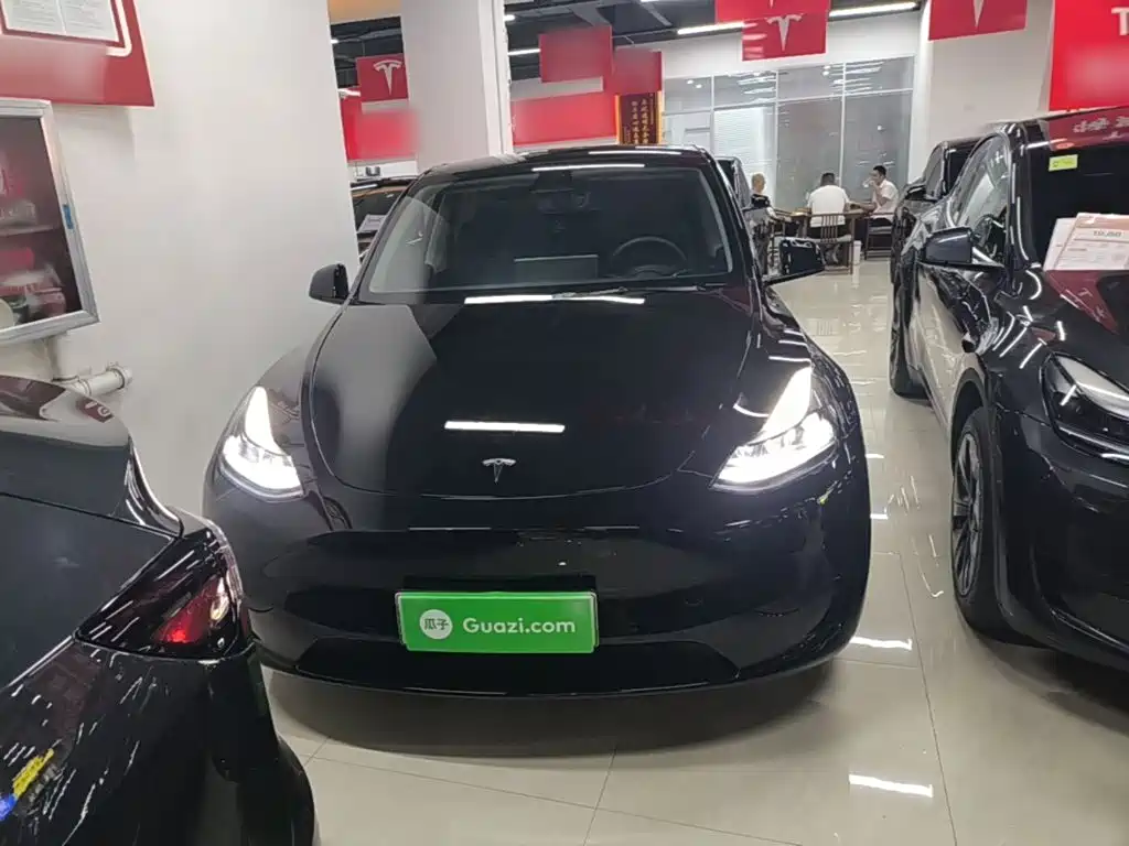 Tesla Model Y — фото 3
