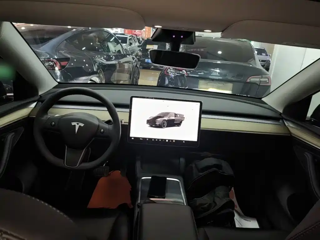 Tesla Model Y — фото 10