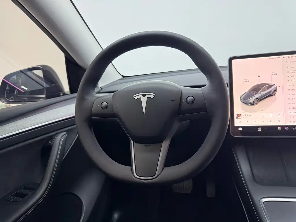 Tesla Model Y — фото 10