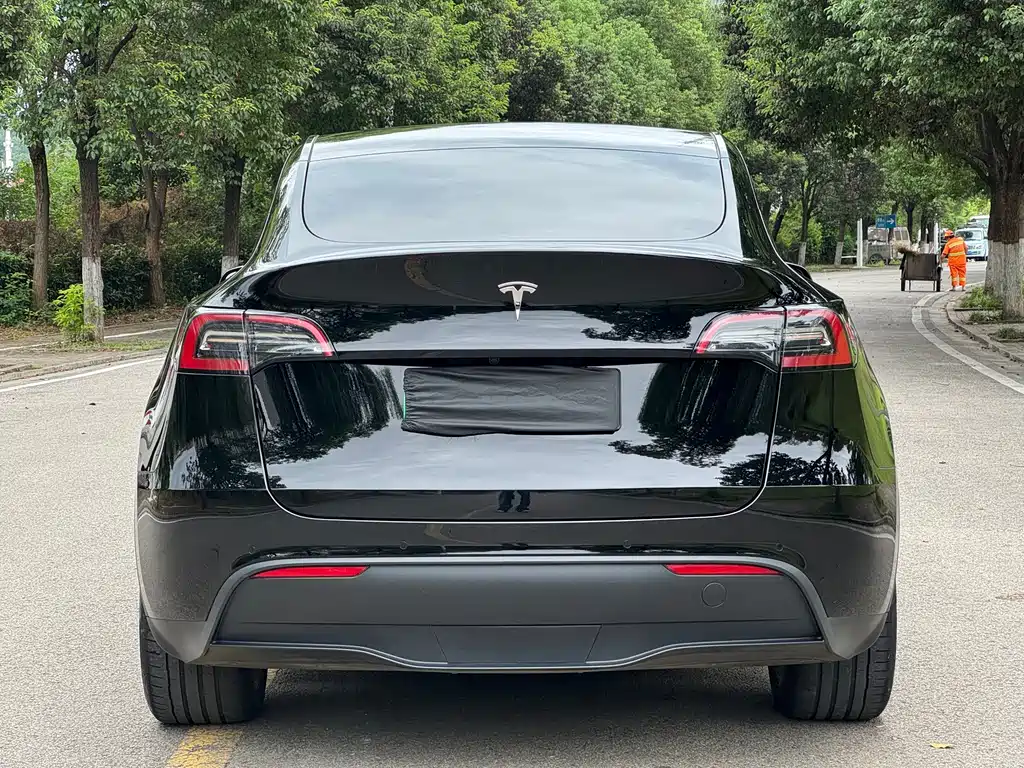 Tesla Model Y — фото 5