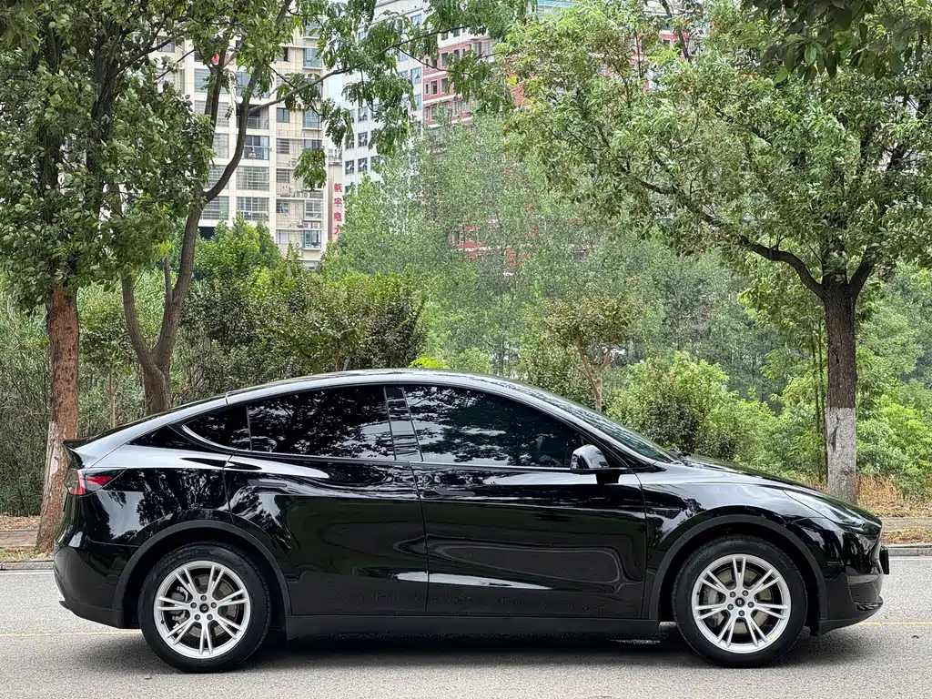 Tesla Model Y — фото 7