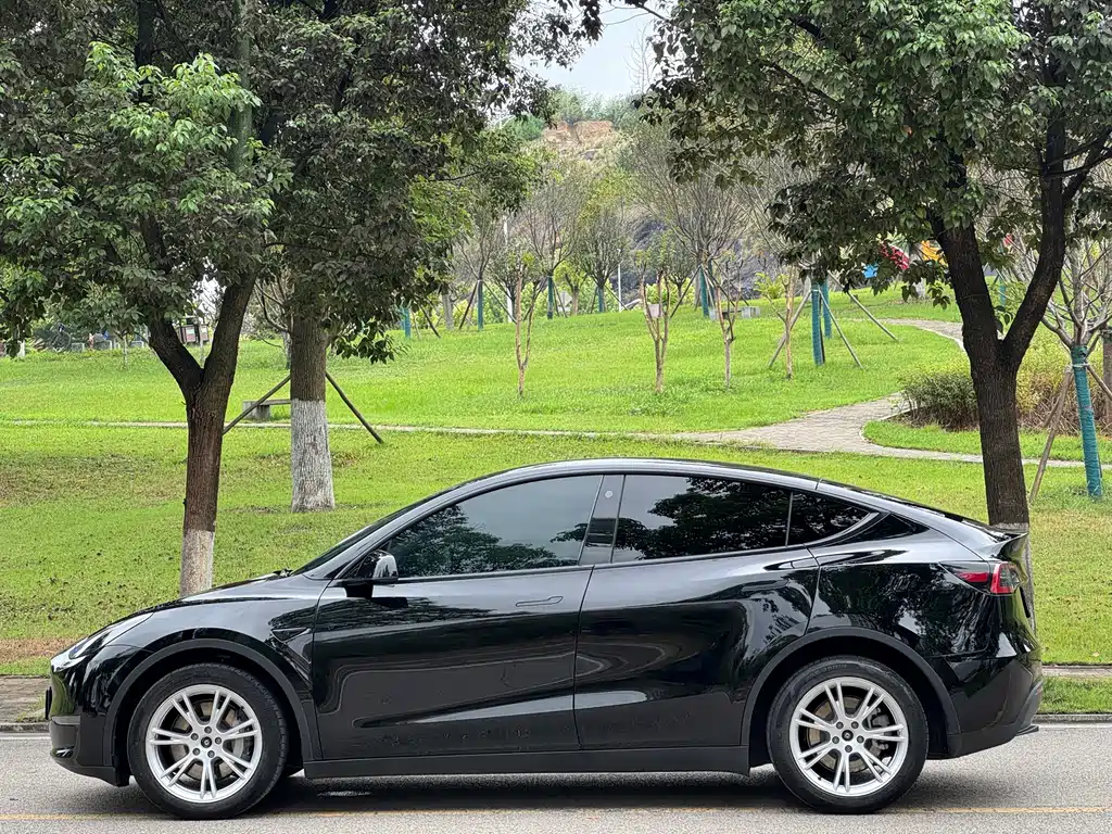 Tesla Model Y — фото 8