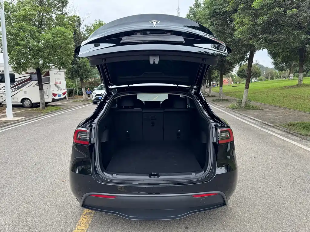 Tesla Model Y — фото 9