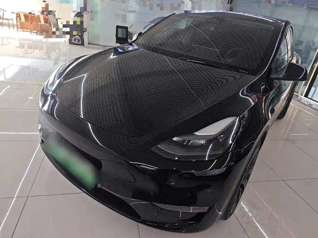 Tesla Model Y — фото 2