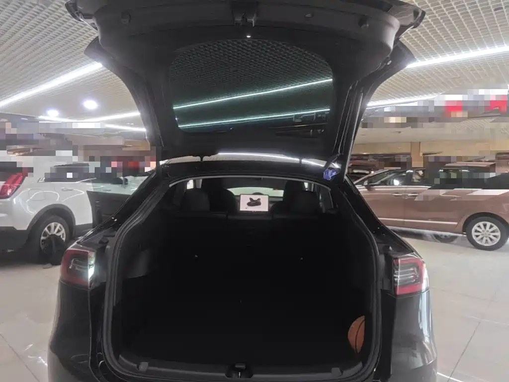 Tesla Model Y — фото 19