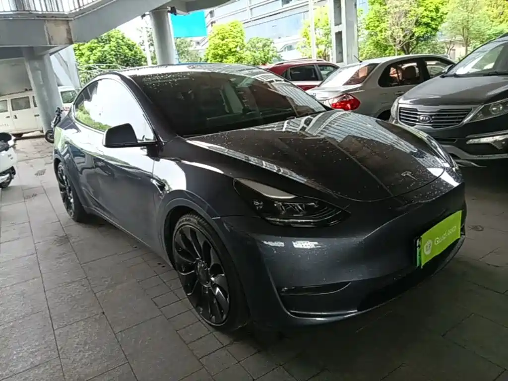 Tesla Model Y — фото 22