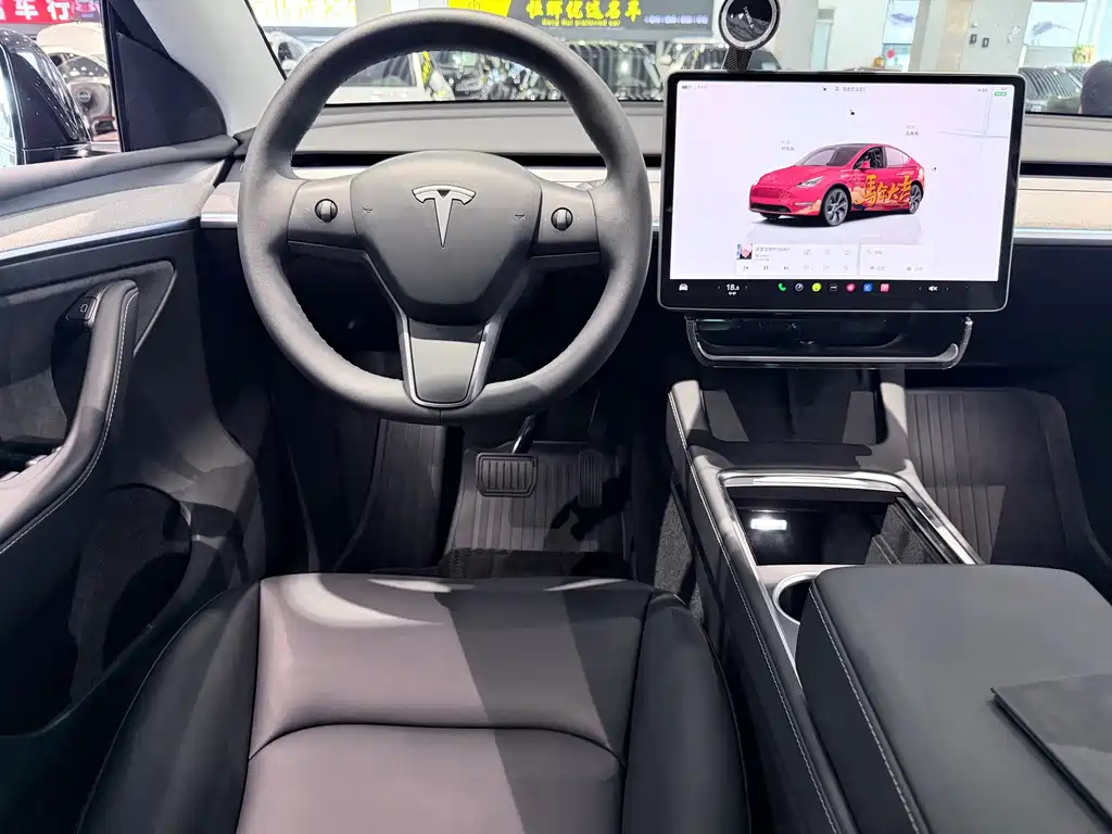 Tesla Model Y — фото 14