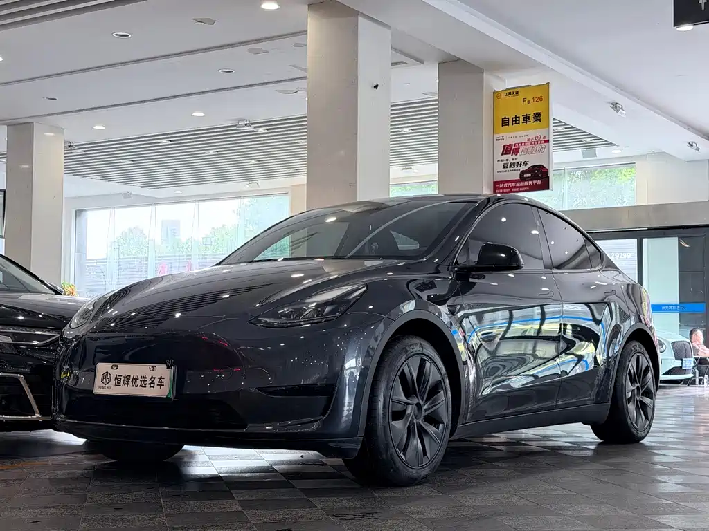 Tesla Model Y — фото 1
