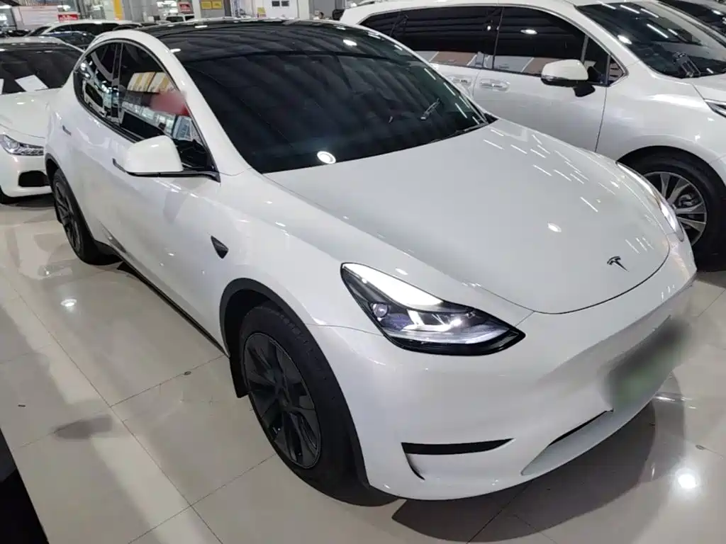Tesla Model Y — фото 3