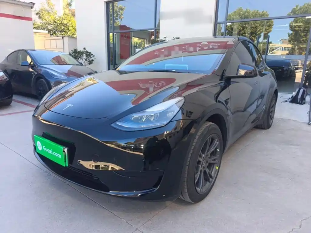 Tesla Model Y — фото 2