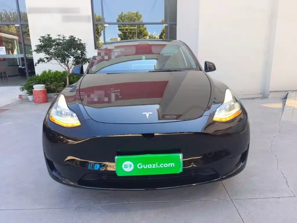 Tesla Model Y — фото 3